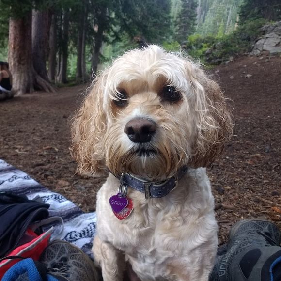 Meet your Posher, Matthew - Picture 1 of 1